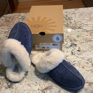 Blue Ugg scuffette II